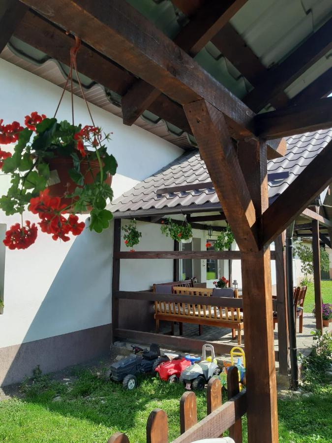 Casa De Oaspeti Laura Rîşnov 外观 照片