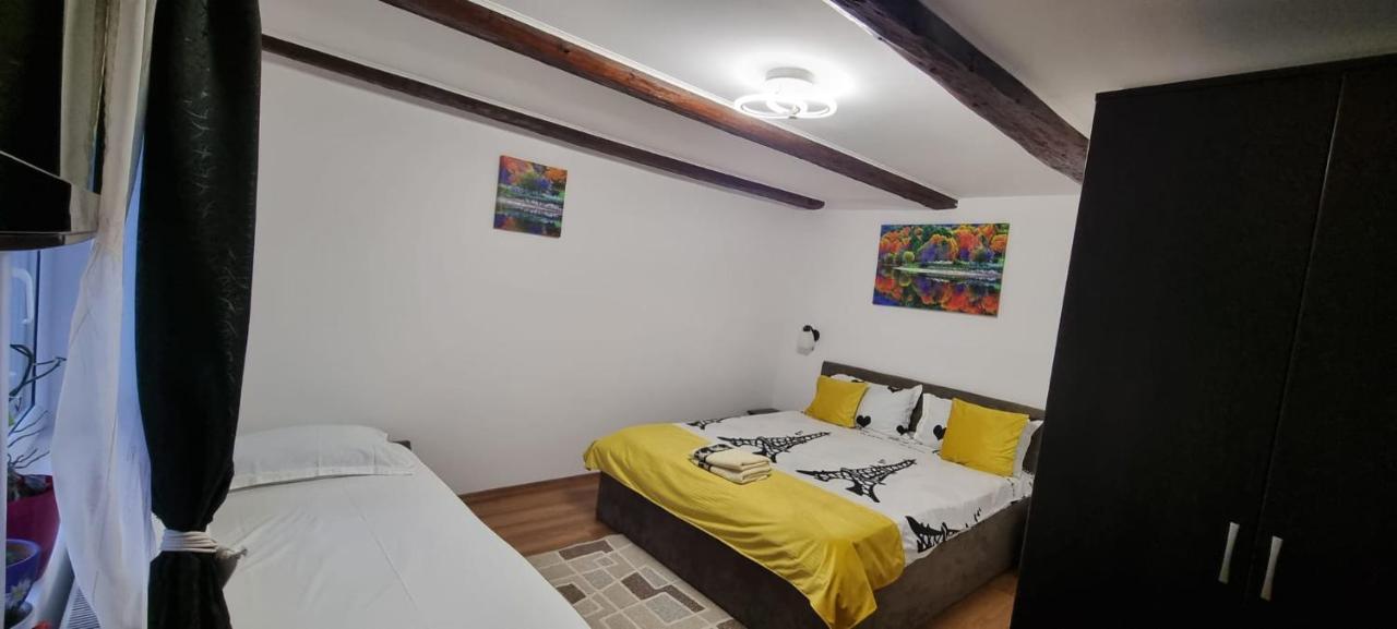 Casa De Oaspeti Laura Rîşnov 外观 照片